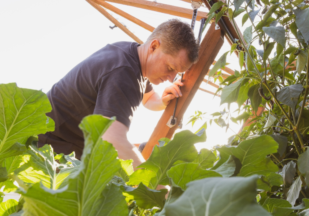 Apt Raised Garden Beds are Made Different.