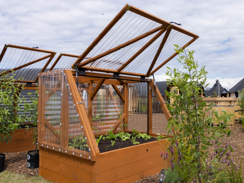 Time to Enjoy your Summer Harvest