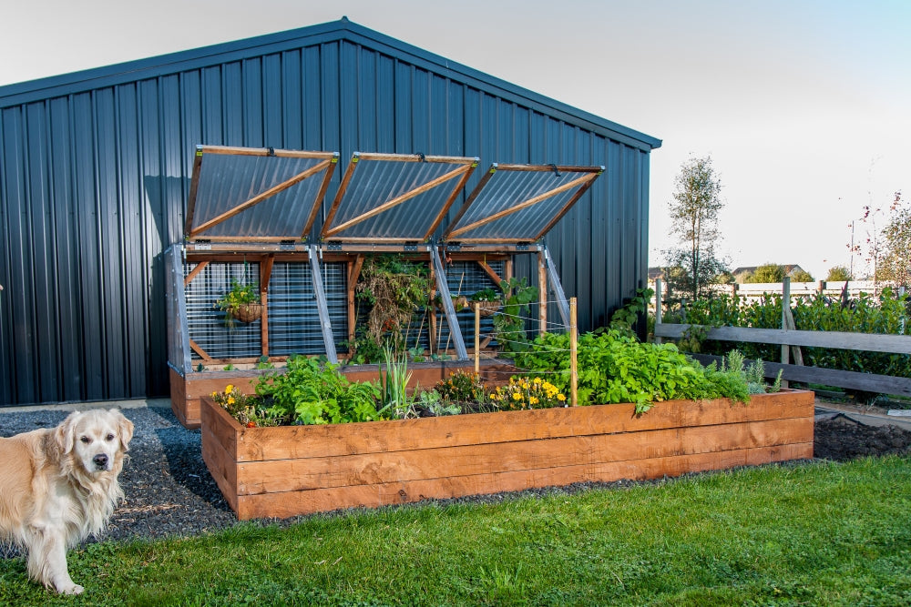 apt raised garden and canopy bed nz