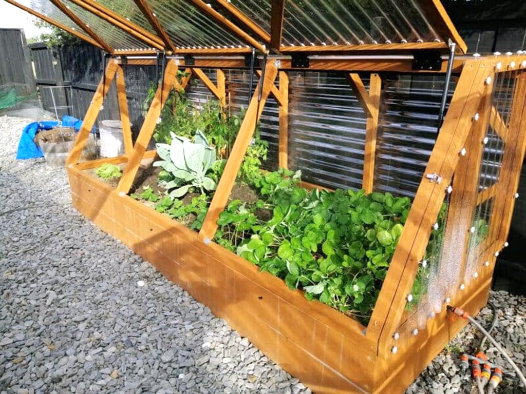 Planting for Rookies