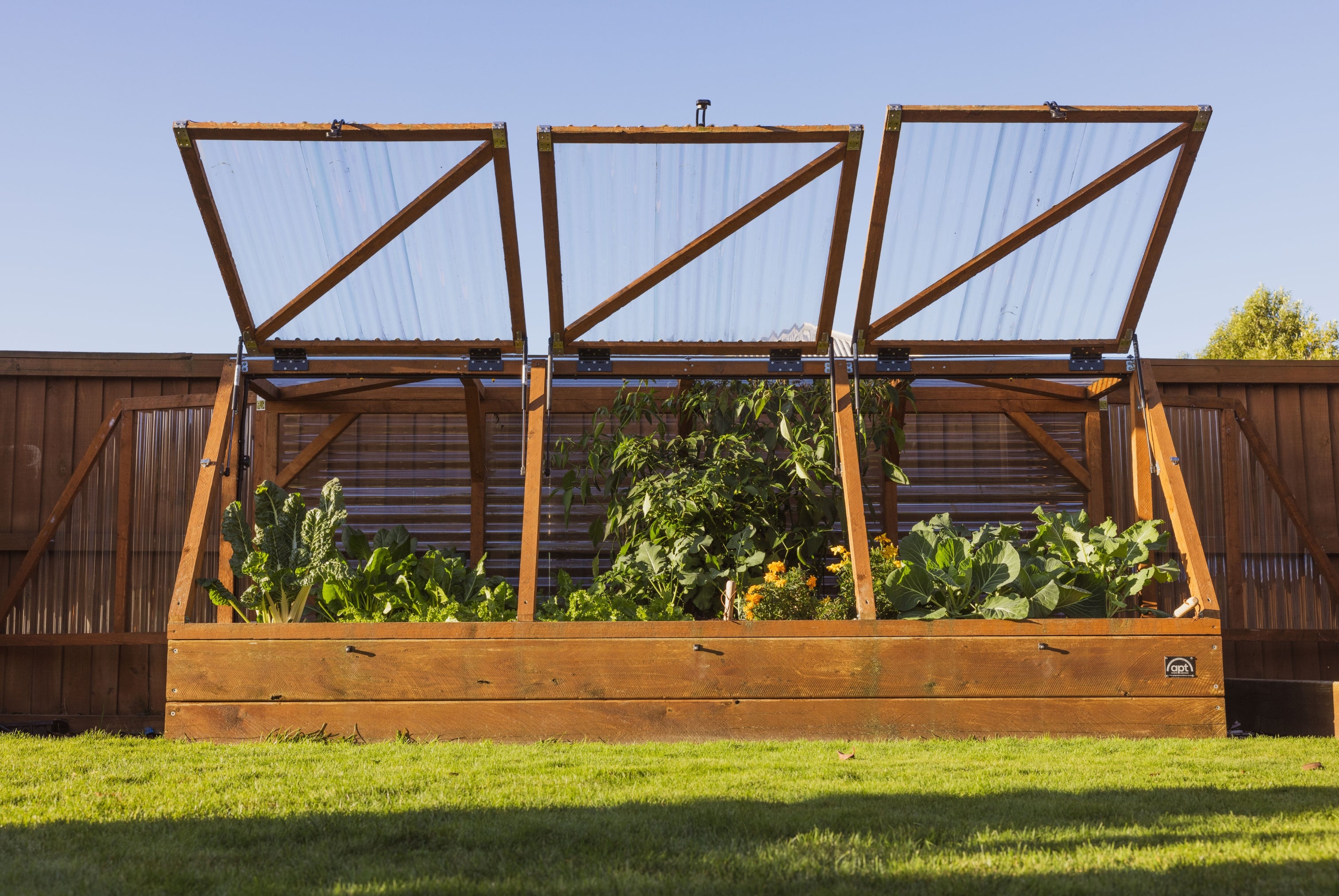 Large Garden with Canopy