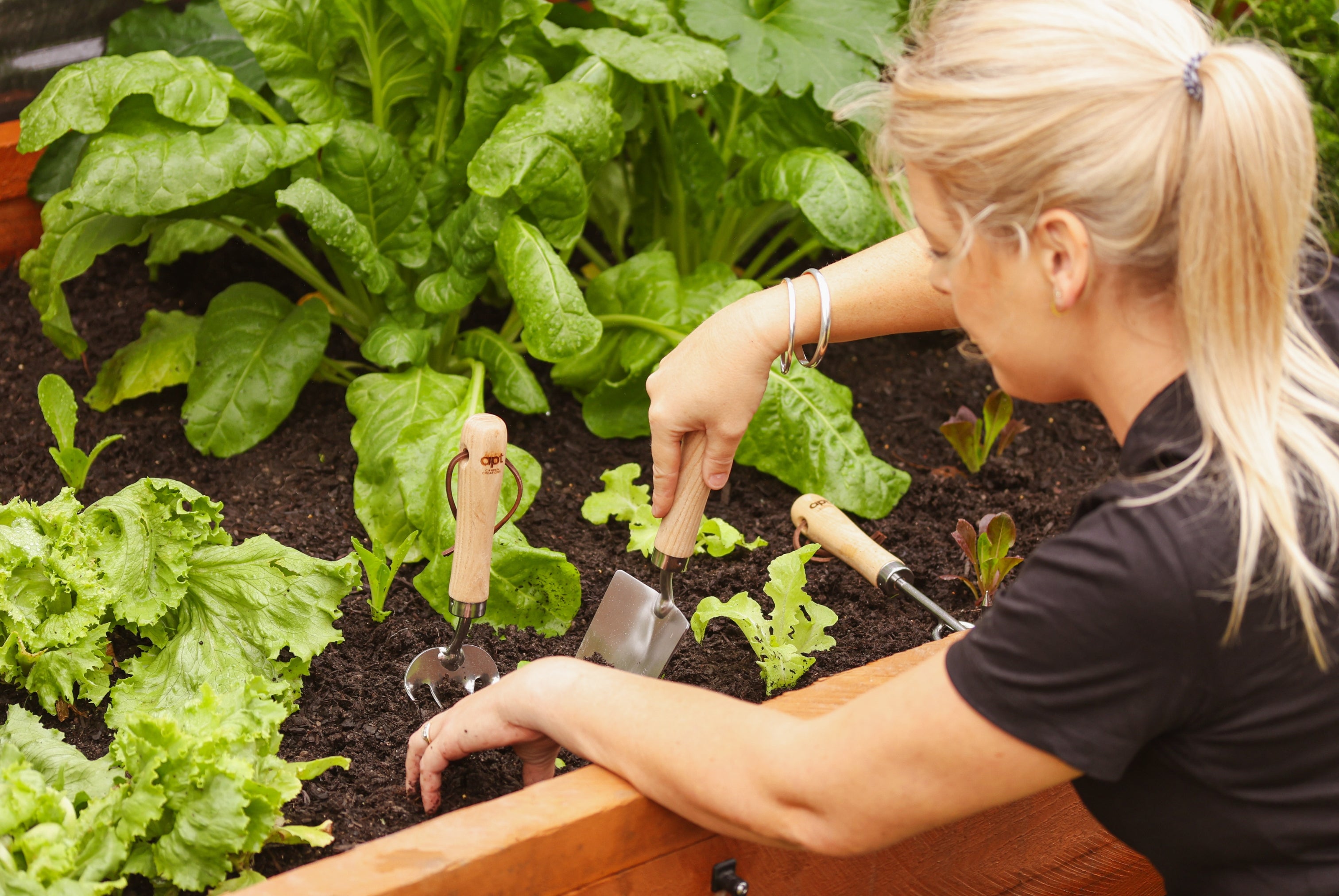 Apt Graden Creations Large Raised Garden Beds