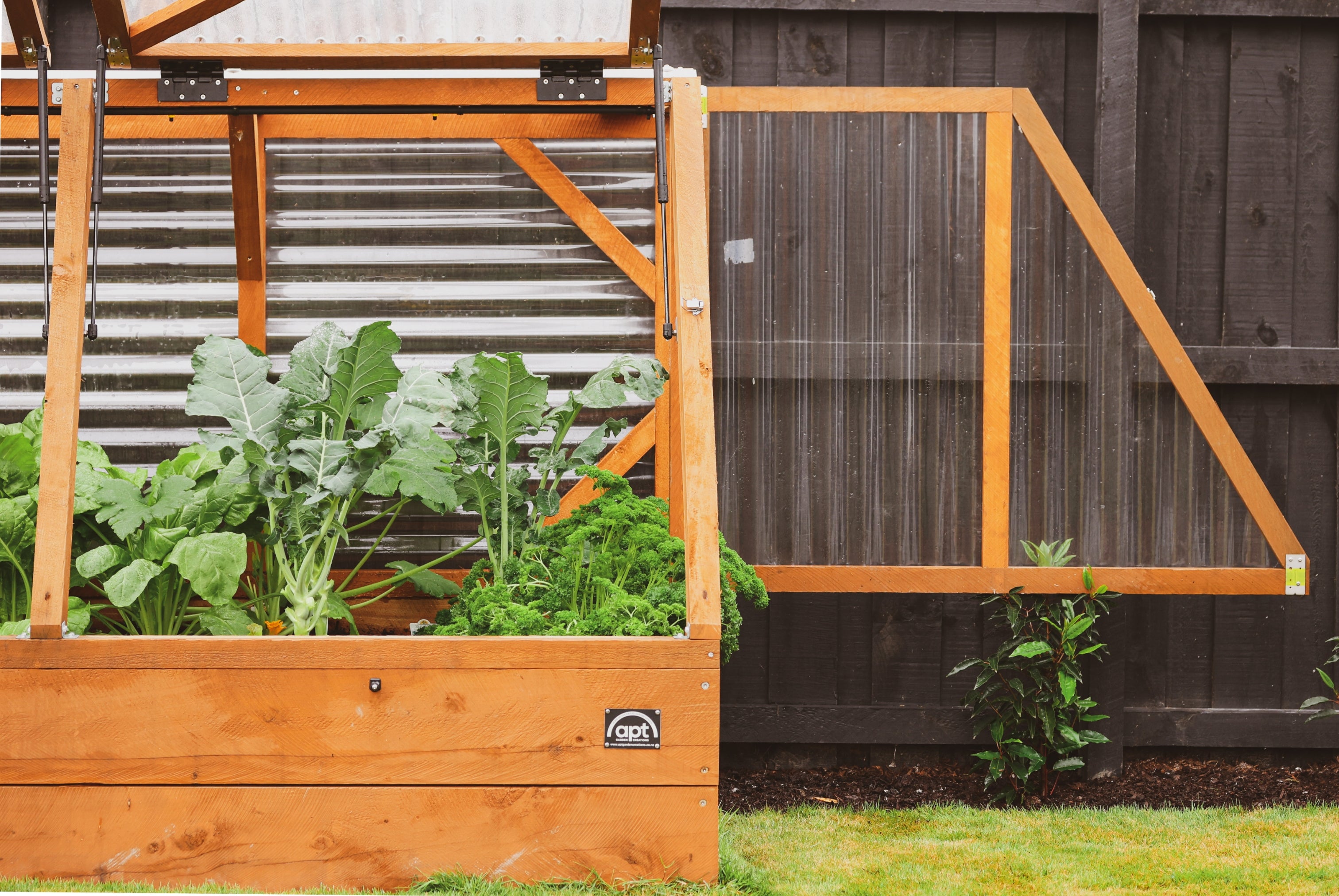 Medium Garden with Canopy