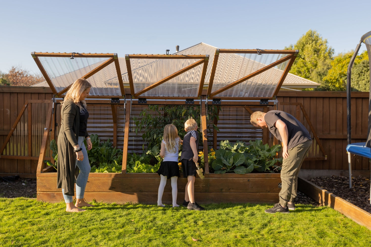 Have you tried planting by the Moon?