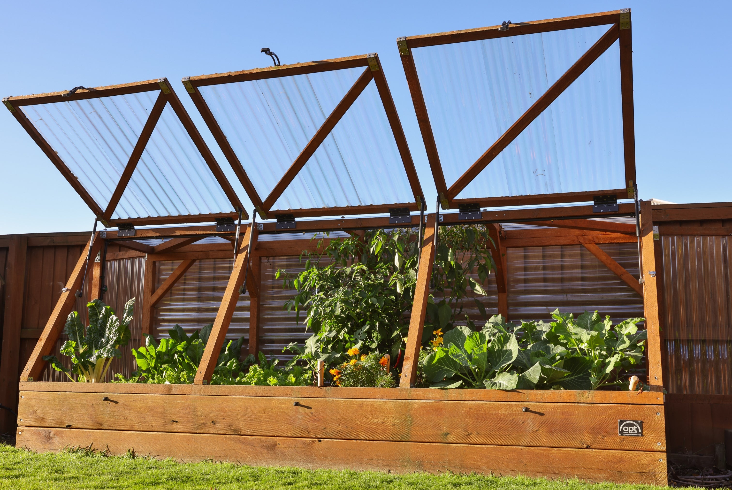 Large Garden with Canopy