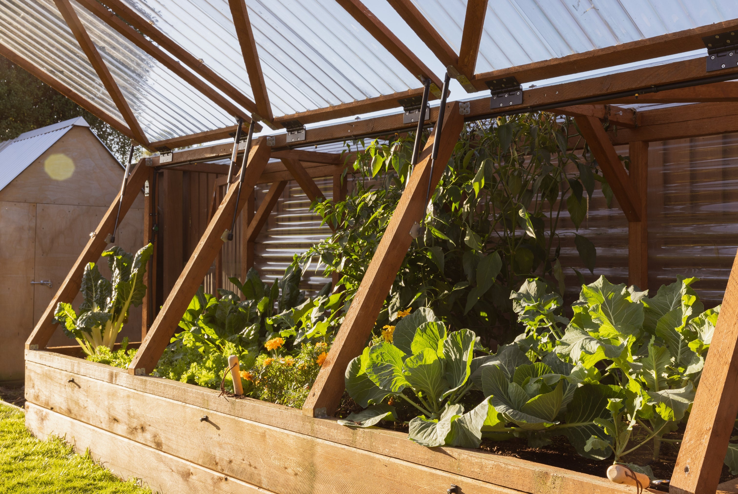 Large Garden with Canopy