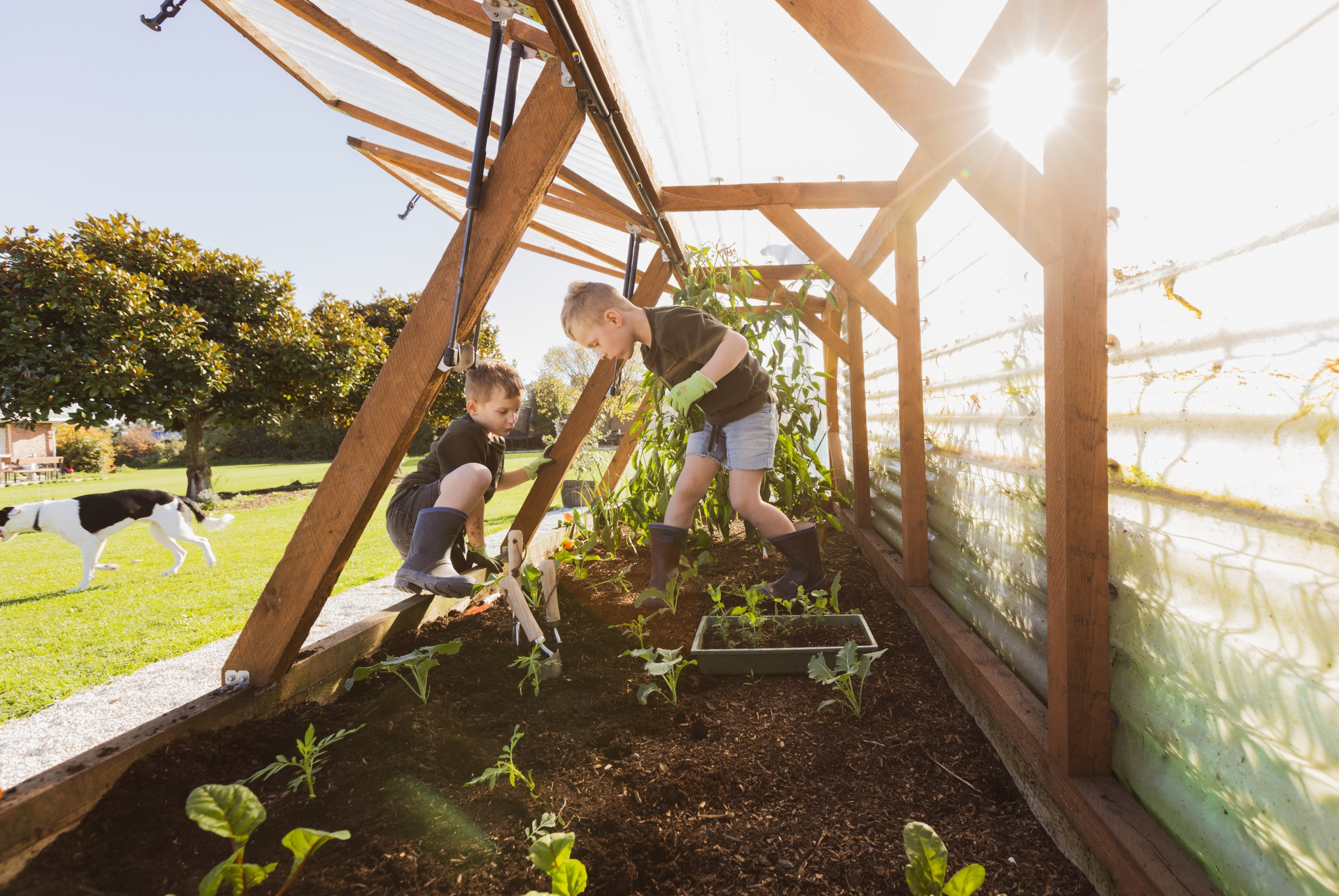 Large Garden with Canopy