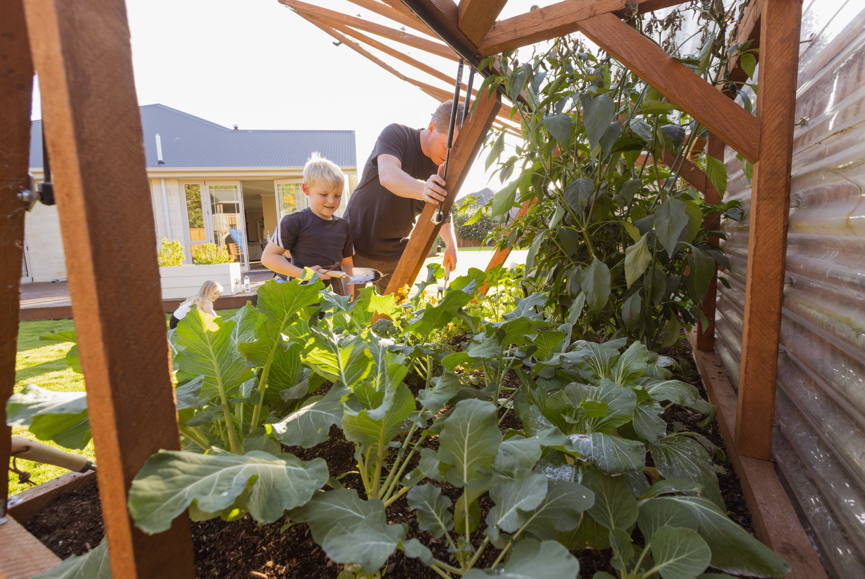 Large Garden with Canopy