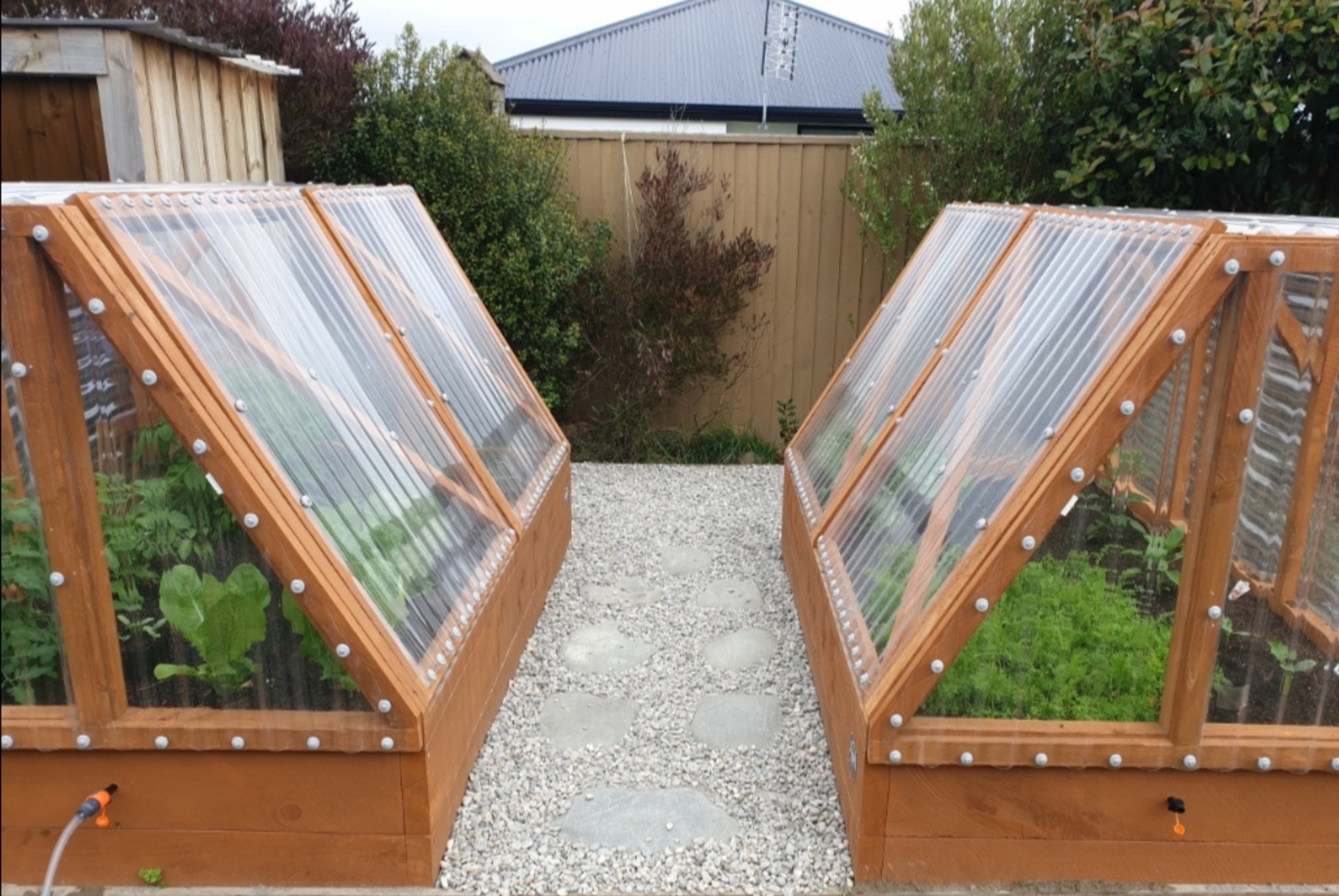 Medium Garden with Canopy