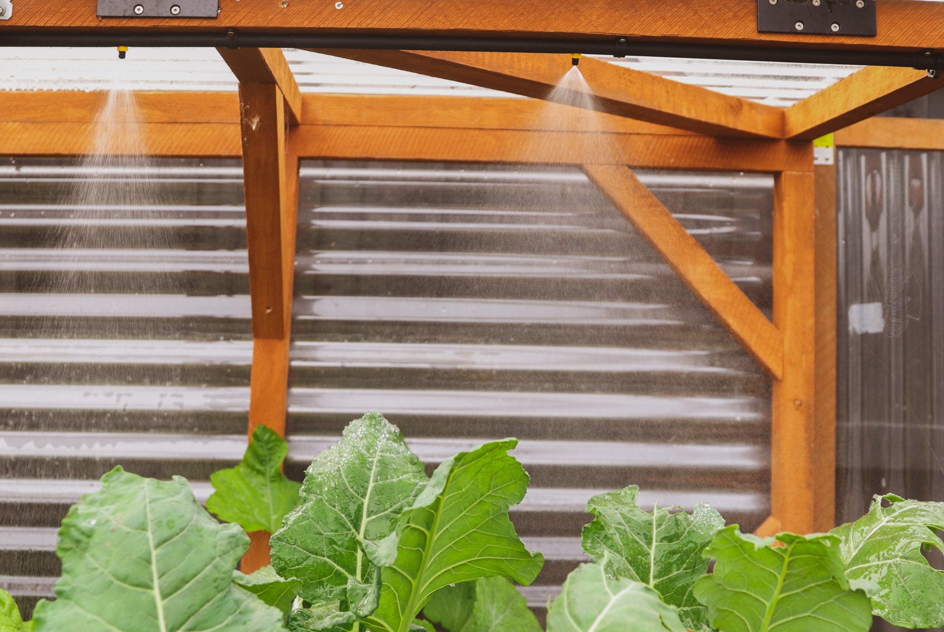 Medium Garden with Canopy