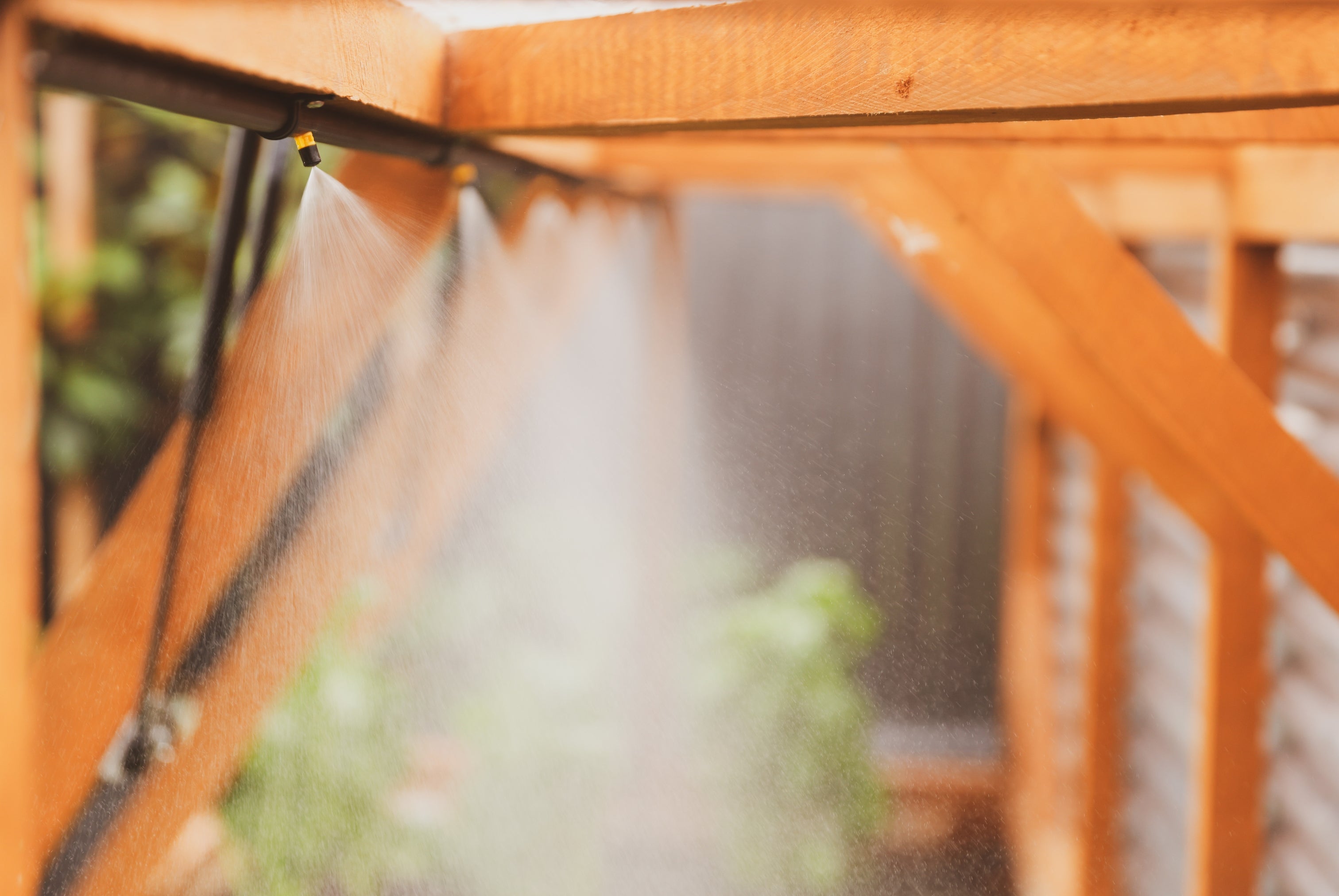 Medium Garden with Canopy