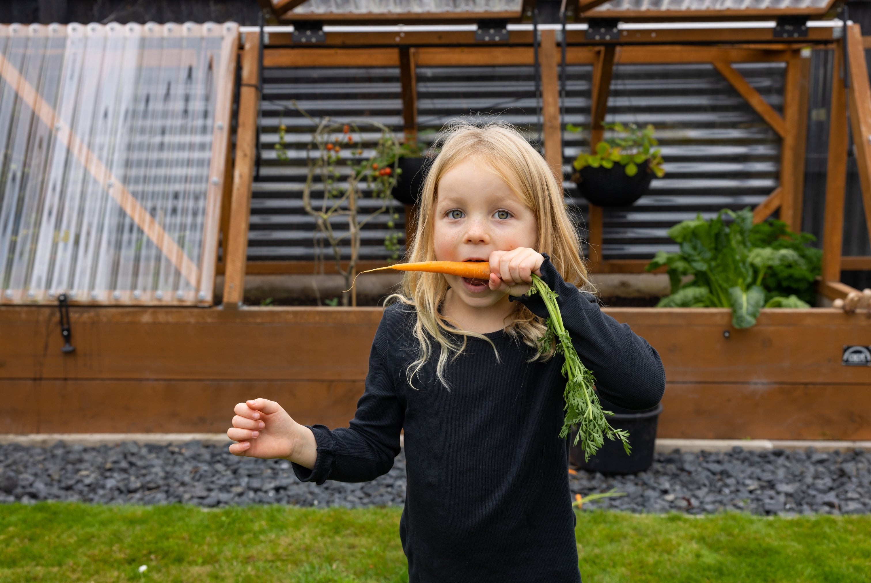Apt Graden Creations Large Raised Garden Beds NZ 