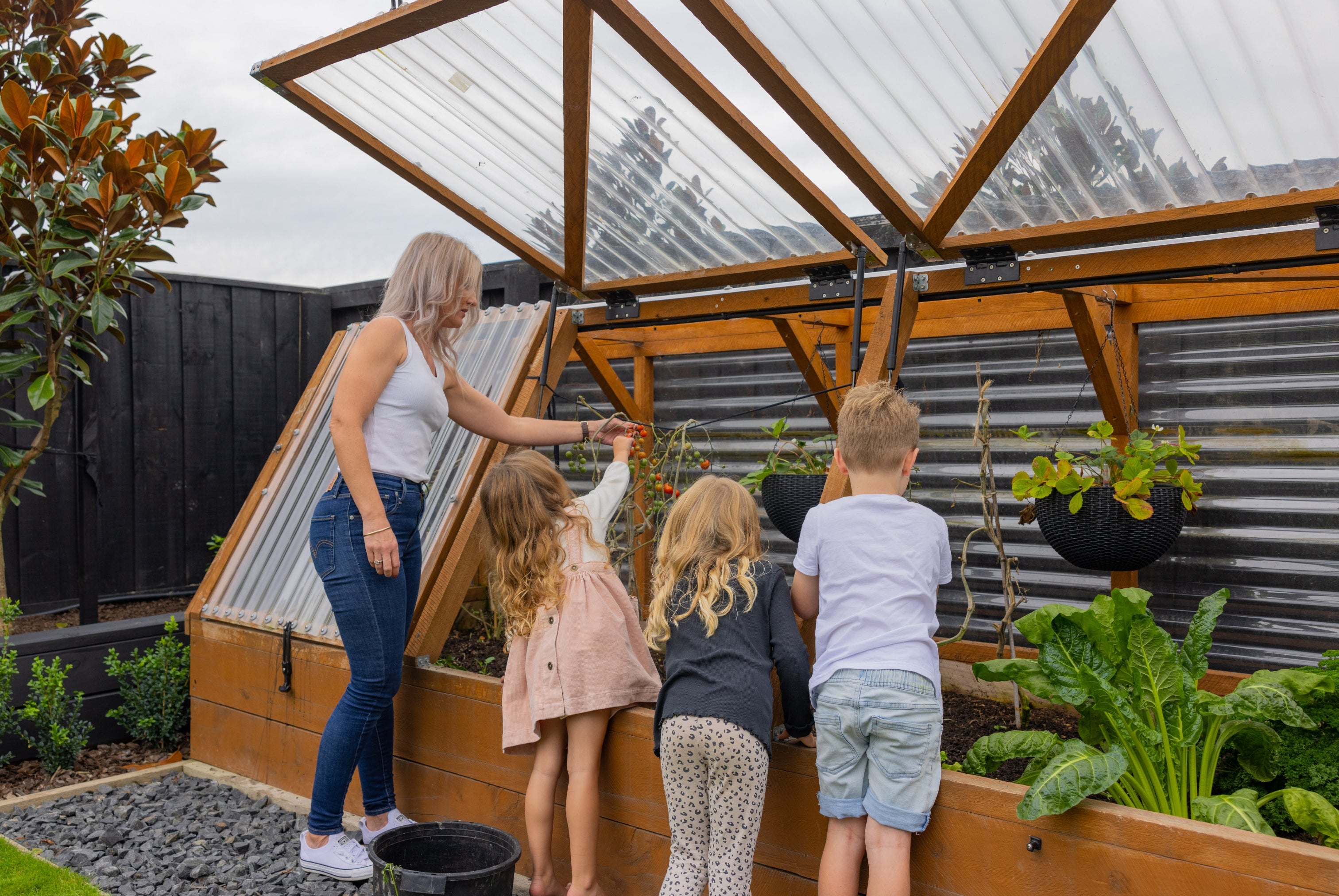 Apt Graden Creations Large Raised Garden Beds NZ 